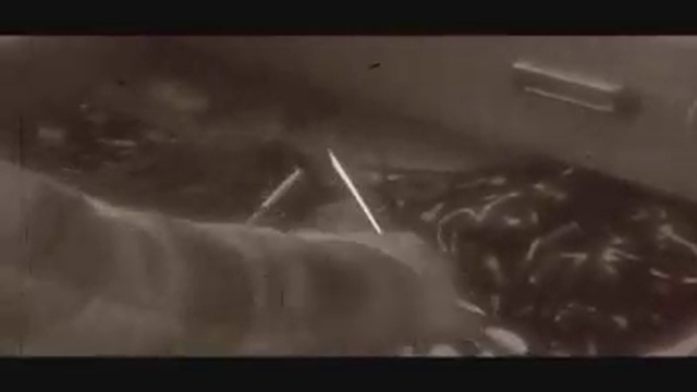 CORPUS MORTALE{Brutal/Death Metal Country: Denmark} - MASS FUNERAL PYRE смотреть онлайн