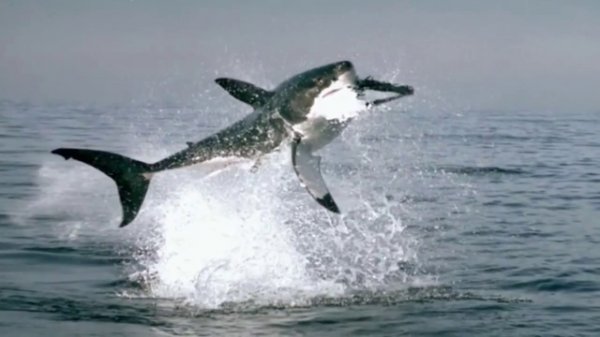 Экстрим в ультра Slow Motion