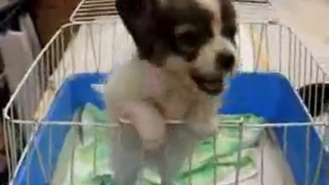 Мама миа! смотреть онлайн