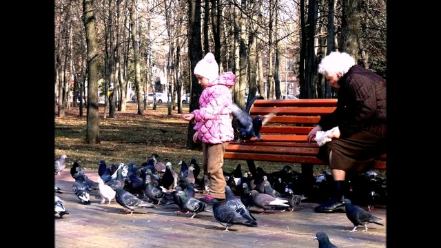 КУРСК ОСЕННИЙ смотреть онлайн