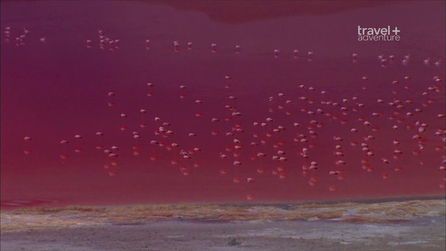 1 серия смотреть онлайн