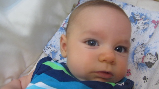 017 смотреть онлайн