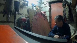 Обработка шкуры бобра