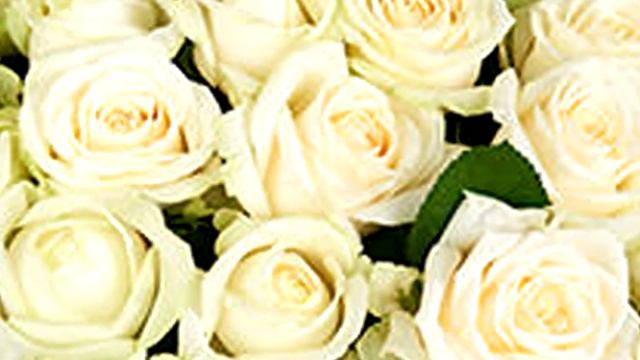 С годовщиной свадьбы. Поздравления смотреть онлайн