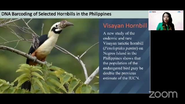 DNA Barcoding and Molecular Phylogeny of Selected Flora and Fauna in the Philippines смотреть онлайн