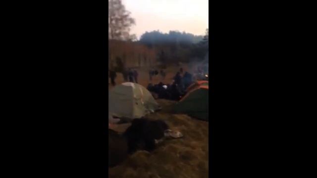 Видео, как беларусские военные контролируют действия мигрантов на границе с Польшей смотреть онлайн