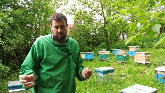 Муравьи в улье: как избавиться. Муравьи в ульях на пасеке, что делать. Вредители на пасеке смотреть онлайн