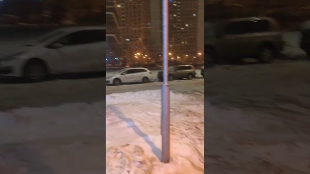 Опять метель... Я вышла пройти 10 000 тыс. шагов... 😉😊❄❄❄❄❄ смотреть онлайн