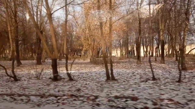 Москва сегодня. ВДНХ сейчас. Трамваи Москвы