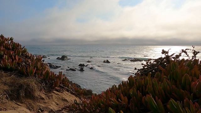 4k Relaxing nature sounds: Relax & Escape Cambria, Ca. It's break time and escape to Cali's coast! смотреть онлайн