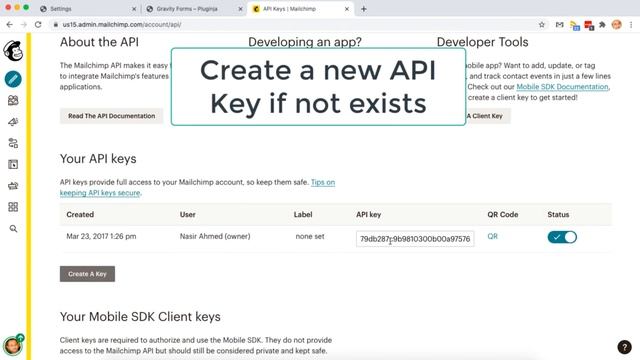 How to Integrate Gravity Forms to Mailchimp Fast! смотреть онлайн
