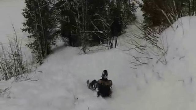 Экстремальный спуск с горы Песчанка, Черноголовка смотреть онлайн