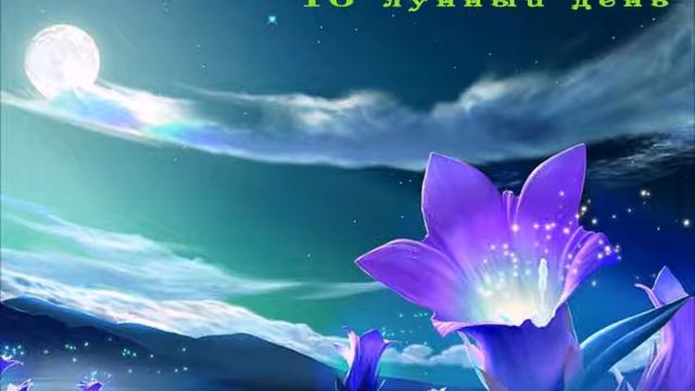 Гороскоп лунного дня рождения. Часть 2 смотреть онлайн