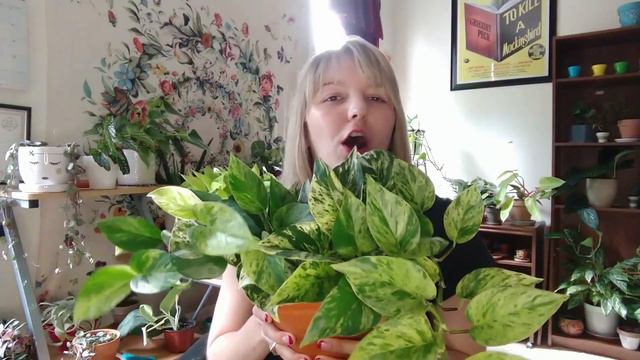 Plants That Thrived (Or Didn't) in September смотреть онлайн