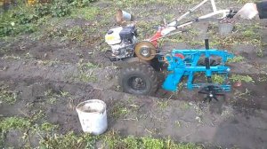 Копаем картофель мотоблоком!