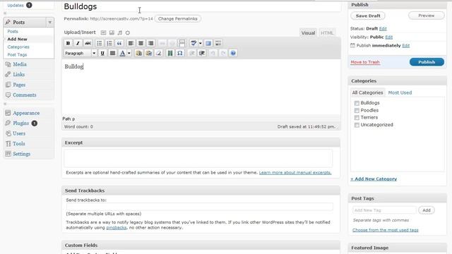 Learn Wordpress Tutorials - Categories And Tags смотреть онлайн