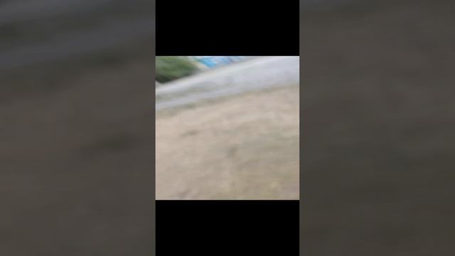 прячусь ат аператора смотреть онлайн