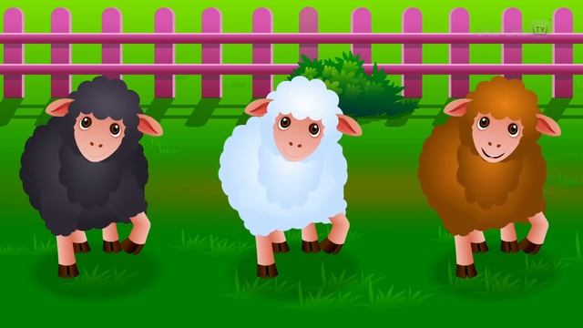 Baa Oveja Negra - ¡La Alegría De Compartir! (Baa Baa Black Sheep) | Canciones Infantiles | ChuChuTV