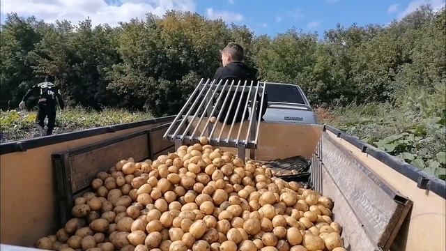 Уборка картофеля мини трактором из мотоблока Нева 2023год !! смотреть онлайн