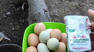 ДРОЖЖИ ДЛЯ КУР! КАК УВЕЛИЧИТЬ ЯЙЦЕНОСКОСТЬ? САМЫЙ ПРОСТОЙ СПОСОБ.
