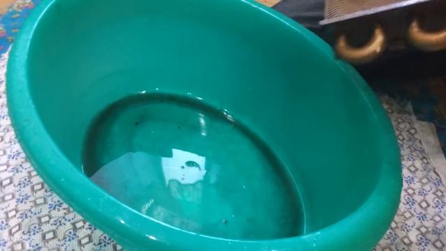 #ВячеславКипкаев#ремонткотлов#вКрыму Настенный котел Газ Бош 6000. Код ошибки Е-9 перегрев.