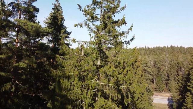 Ogre Zilie Kalni Nature Park,Огре Природный парк «Синие горы» смотреть онлайн