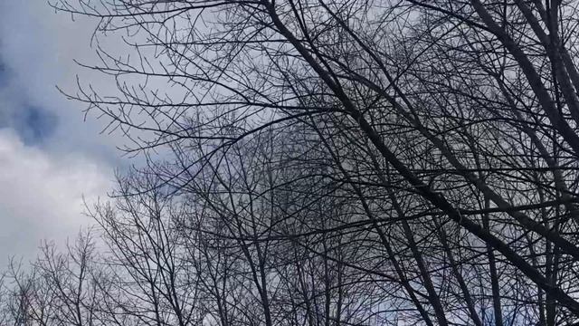 Лунный календарь стрижки волос на март 2023. Благоприятные дни стрижки волос. смотреть онлайн