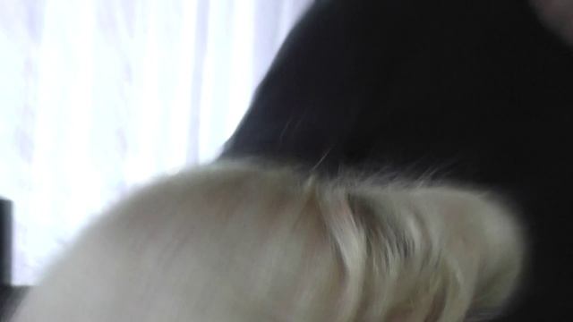 юбилей 2 част.mp4 смотреть онлайн