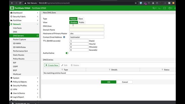 FORTIGATE LOCAL DNS SERVER SETUP смотреть онлайн