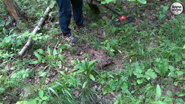 Вся власть Советам!