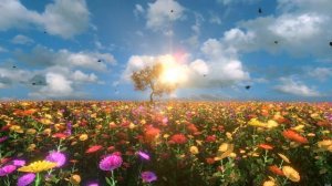 Совместимость мужчины Водолей и женщины Рак