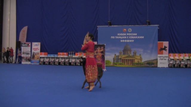 Мастер-НТМ - Давыдова Светлана и Бельгийская овчарка малинуа NORGEN FARSAL смотреть онлайн