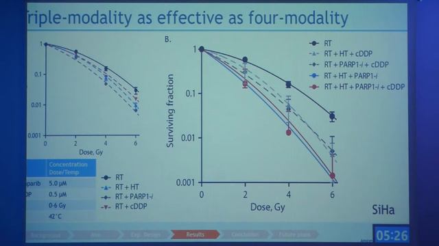 Hyperthermia Combined With PARP1-inhibition As Radiosensitizer In Cervical Cancer (...), M. Ijff