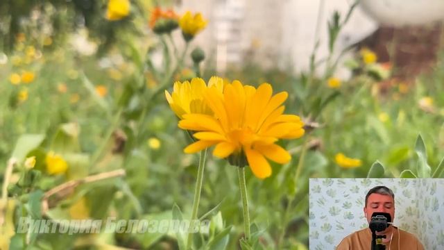 Грeшницa. Рассказ, берущий за душу