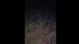 Существа похожие на человека [МИСТИКА].mp4