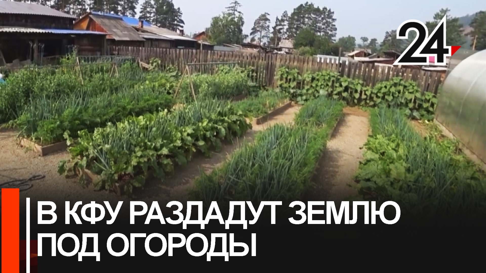 Сотрудникам КФУ раздадут землю под огороды смотреть онлайн