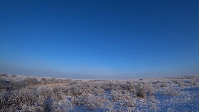 Охота на зайца. Обалденная погода, много зайца. Взяли четверых. Сезон 2020-2021 №92 смотреть онлайн