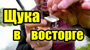 Новая или старая блесна ЦИКАДА. Ловля щуки на цикаду.