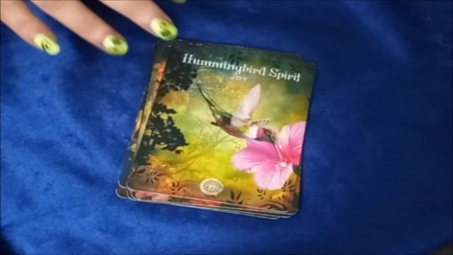 Today's Oracle card Tarot Reading for ALL 12 western zodiac signs смотреть онлайн