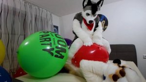 Bouncy ? Balloon Brothers with  @Boltsno1fan  - Skeppo -