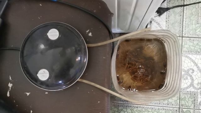 Барботирование семян Лагенарии и проращивание семян арбузов смотреть онлайн