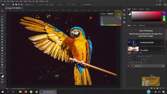 Adobe Photoshop 2020 Interface(Urdu/Hindi)
