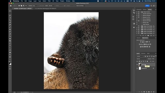 Start A New Document in Photoshop CC ..... Photoshop CC 2022 Basics In 12 Minutes смотреть онлайн