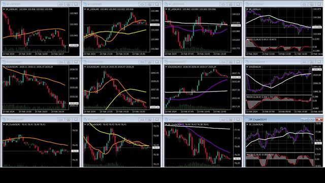 02-25-2024 us@0600 New York Session GOLD . OIL . USD Charts movement RECAP XAU.XTI 米ドル.黃金.原油.指数の動再放 смотреть онлайн