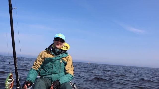 Щучий сезон начинается с залива. Ловля спиннингом с катамарана. ЩУКА 4кг. смотреть онлайн