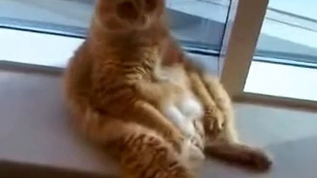 Я на солнышке сижу, и вокруг я гляжу смотреть онлайн