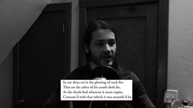 Sonnet 73 - EXPLAINED смотреть онлайн
