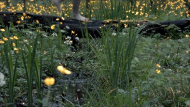 polnalyubvi- Спящая красавица смотреть онлайн