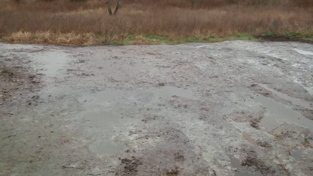 Свалка биологических отходов около пос. Солдатово смотреть онлайн