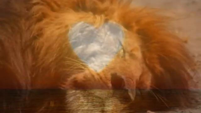 Marco Borsato - Margherita смотреть онлайн